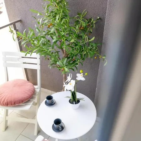 Apartment Joy City Stylish Chic Timisoara