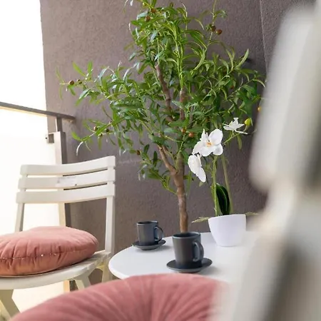 Apartment Joy City Stylish Chic
