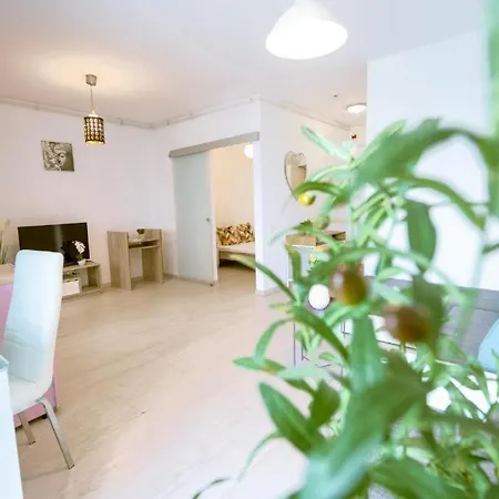 Apartment Joy City Stylish Chic